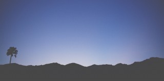 From Palms to Pine Trees: Life Lessons and Transitions